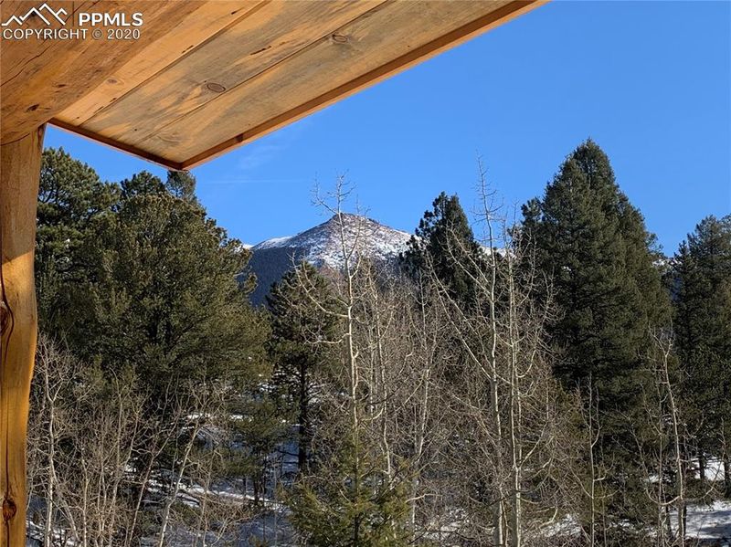 751 Horseshoe Dr, Divide, CO 80814