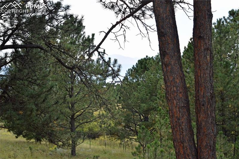 7518 Culloden Ct, Colorado Springs, CO 80908