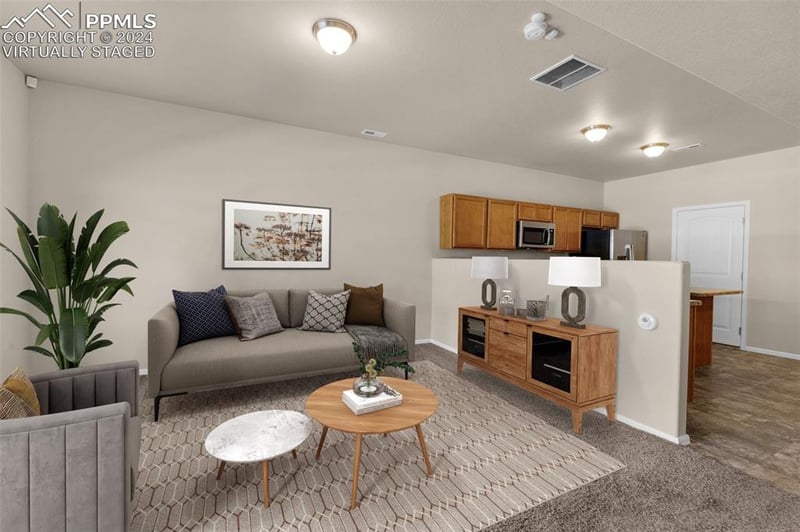 7528 Silver Larch Point, Colorado Springs, CO 80908