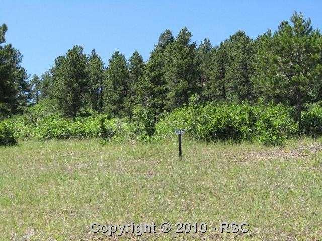 756 Forest View Way, Monument, CO 80132