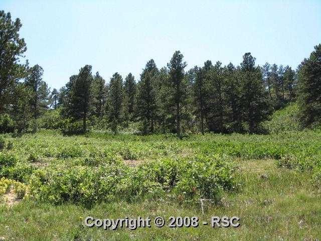 756 Forest View Way, Monument, CO 80132