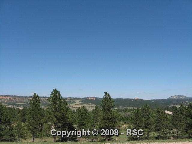 756 Forest View Way, Monument, CO 80132