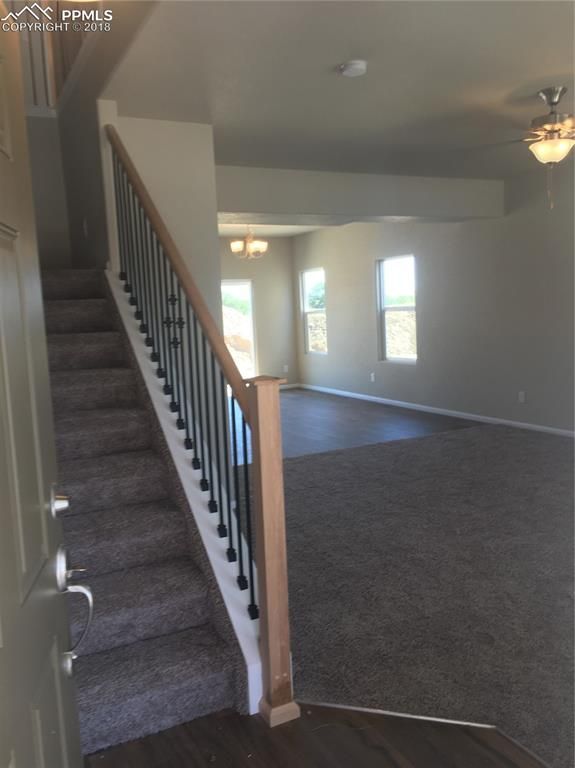 7569 Alpine Daisy Dr, Colorado Springs, CO 80925