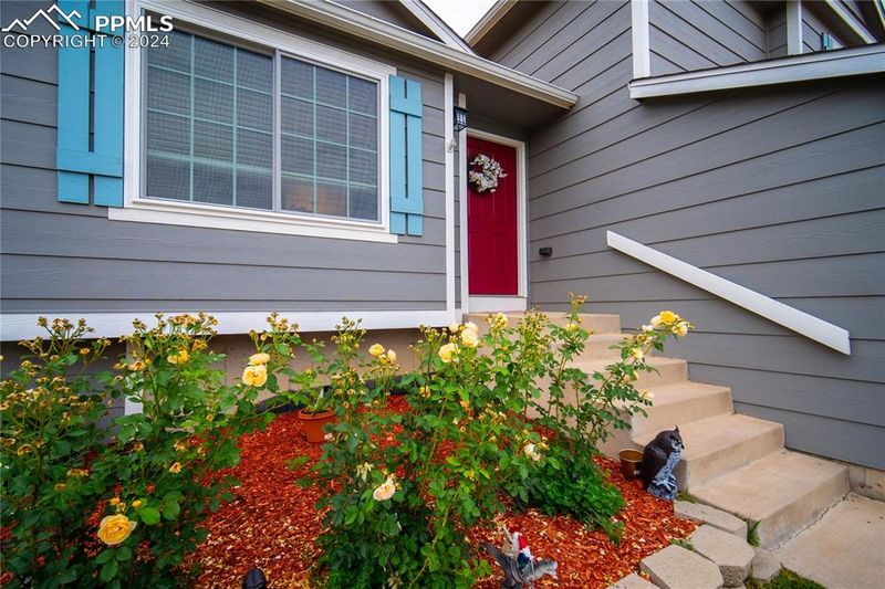 7583 Barn Owl Dr, Fountain, CO 80817