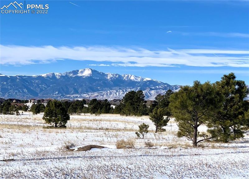 7597 Culloden Ct, Colorado Springs, CO 80908
