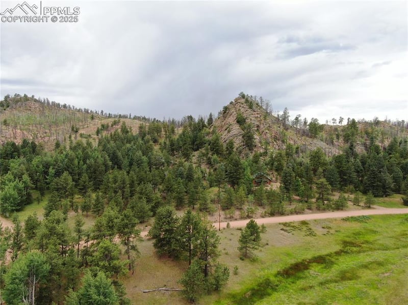 76 Crocus Cir, Florissant, CO 80816