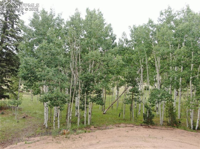 76 Crocus Cir, Florissant, CO 80816