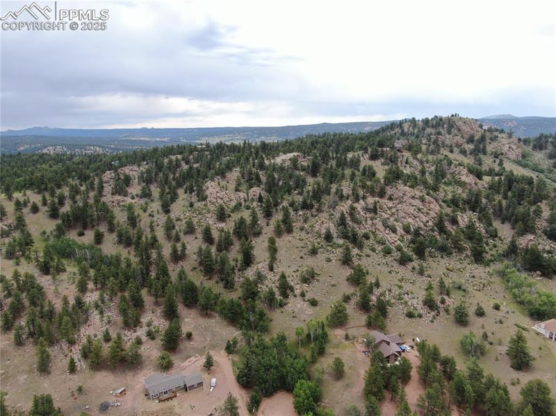76 Crocus Cir, Florissant, CO 80816