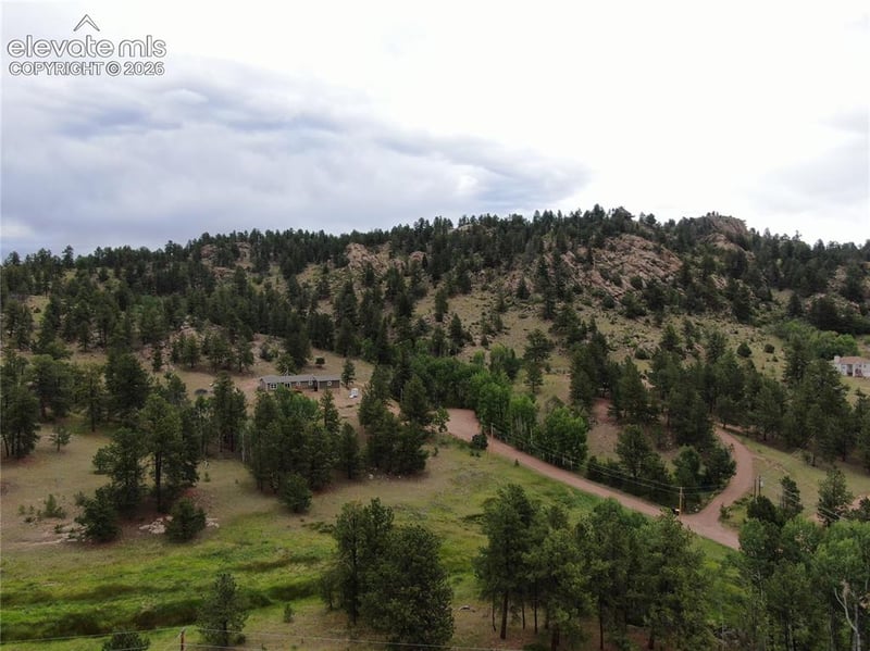 76 Crocus Cir, Florissant, CO 80816