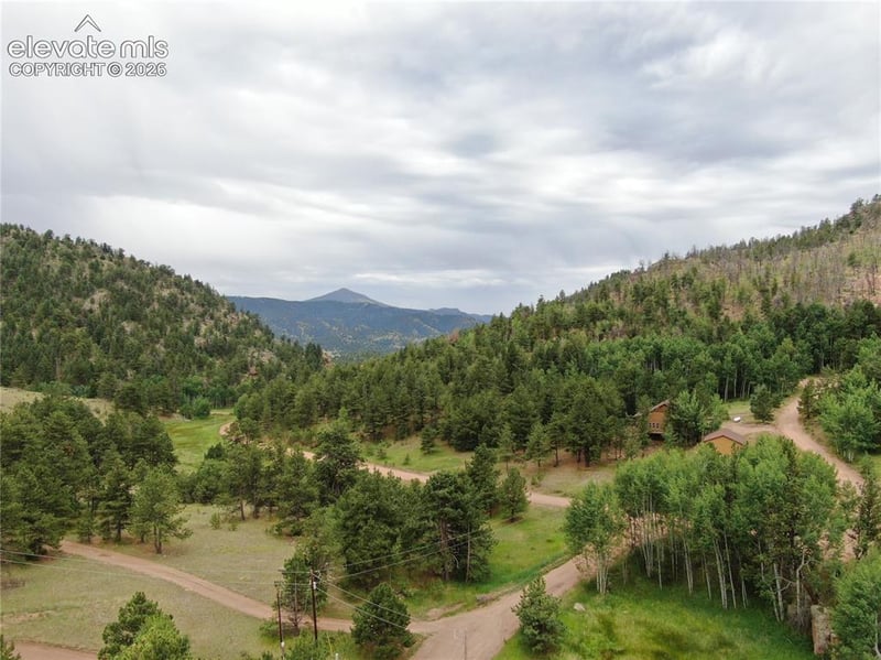 76 Crocus Cir, Florissant, CO 80816