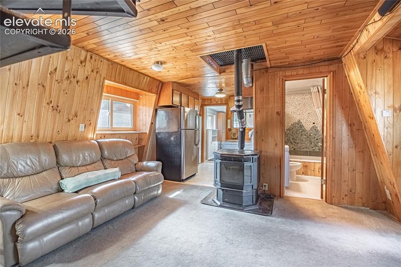 76 Pine Dr, Woodland Park, CO 80863
