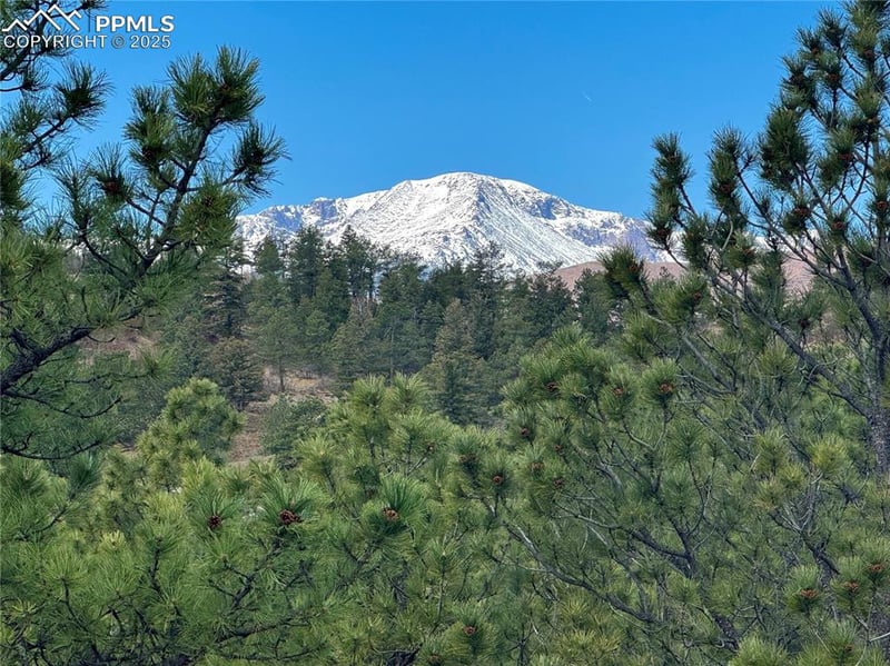 760 Timber Valley Rd, Colorado Springs, CO 80919