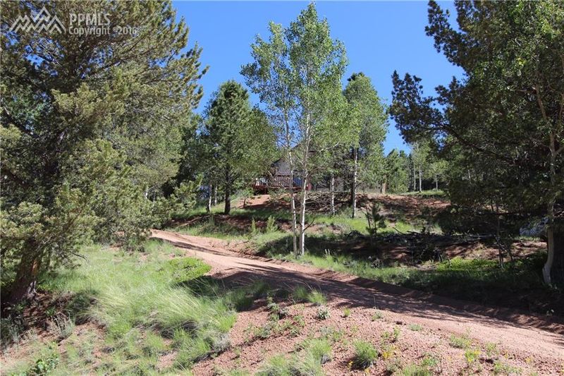 761 Woodrock Way, Divide, CO 80814