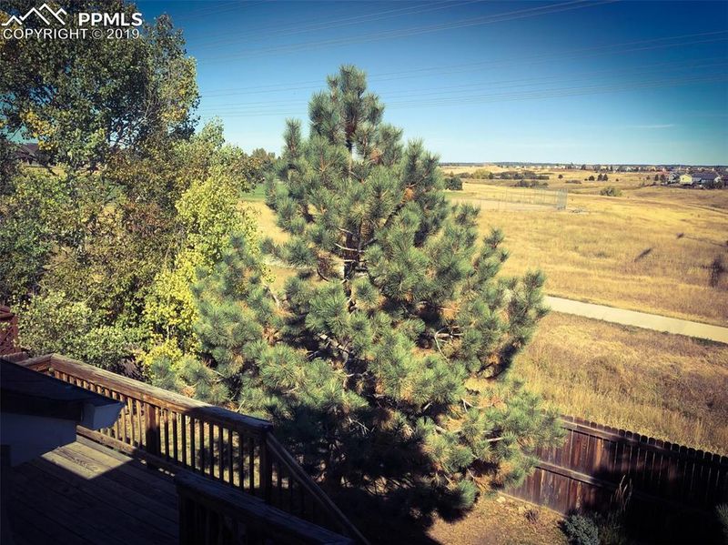 762 S Carlton St, Castle Rock, CO 80104