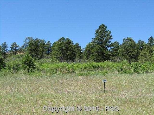 768 Forest View Way, Monument, CO 80132