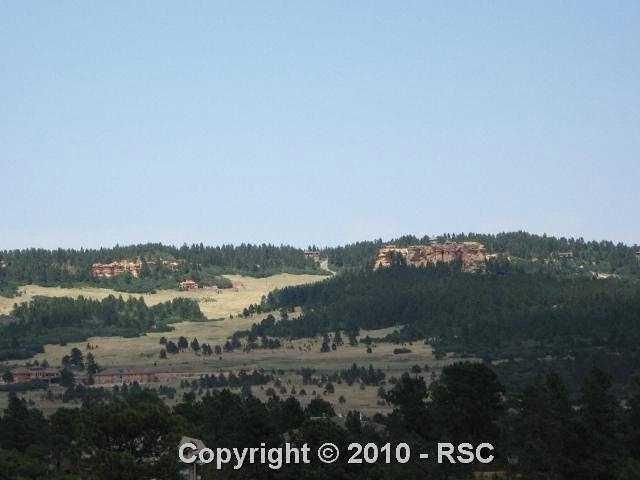 768 Forest View Way, Monument, CO 80132
