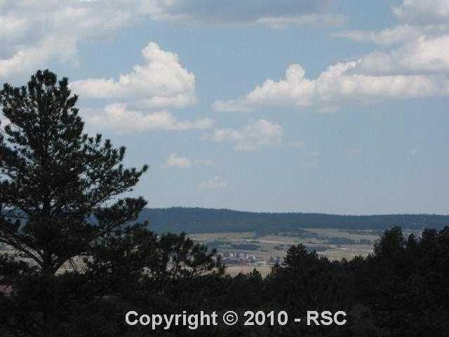 768 Forest View Way, Monument, CO 80132