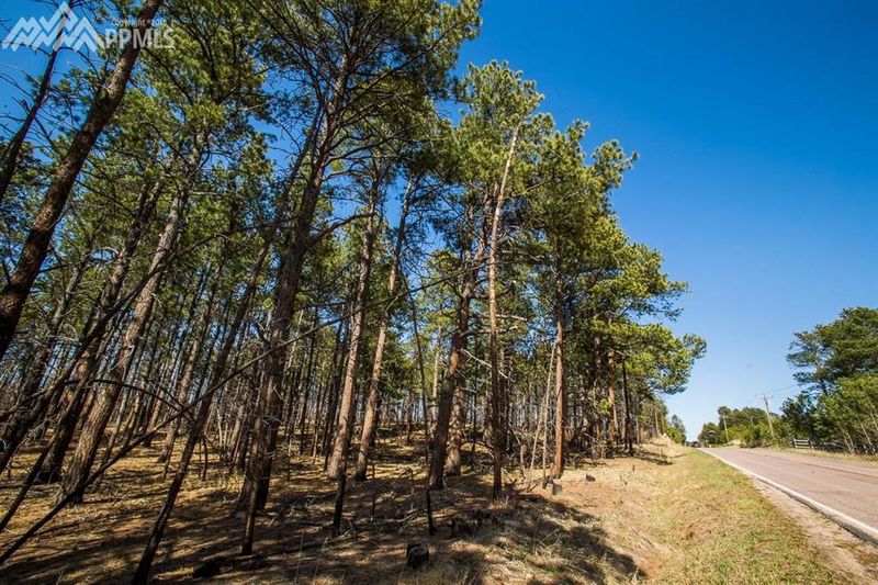 7680 Shoup Rd, Colorado Springs, CO 80908