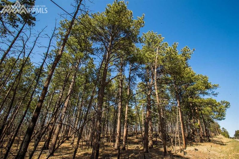 7680 Shoup Rd, Colorado Springs, CO 80908
