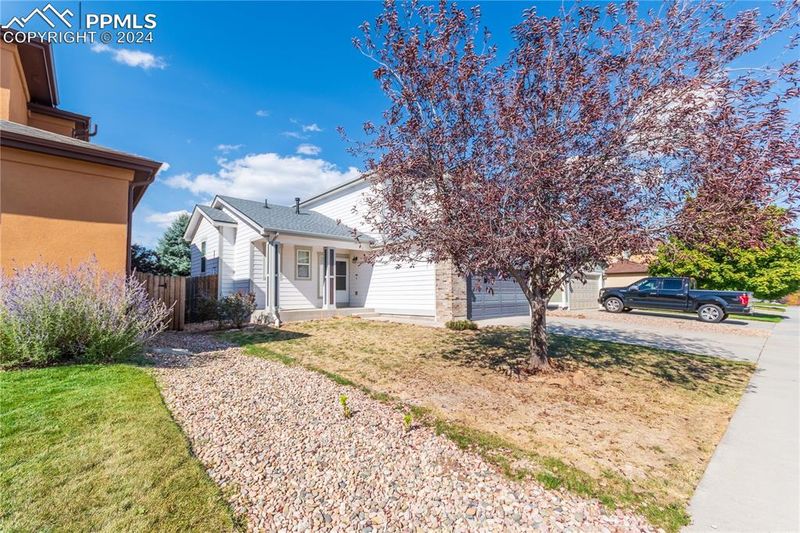 7697 Steward Ln, Colorado Springs, CO 80922