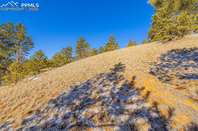 772 Bison Creek Trl, Florissant, CO 80816