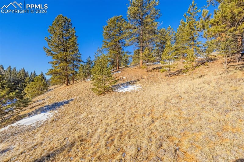 772 Bison Creek Trl, Florissant, CO 80816