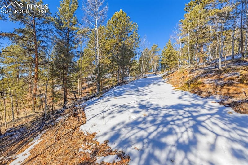 772 Bison Creek Trl, Florissant, CO 80816