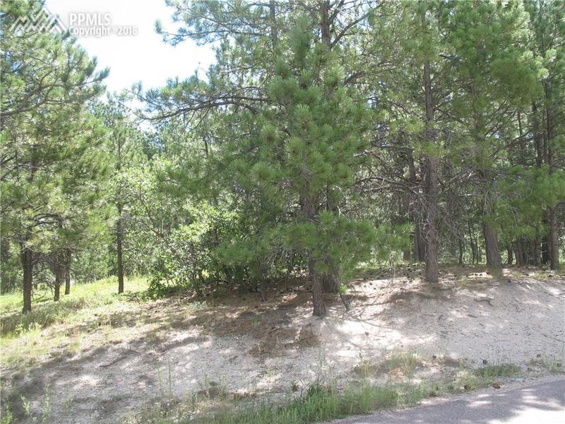 775 Silver Saddle Rd, Monument, CO 80132