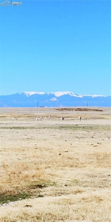 7759 Wrangler Ranch Vw, Peyton, CO 80831