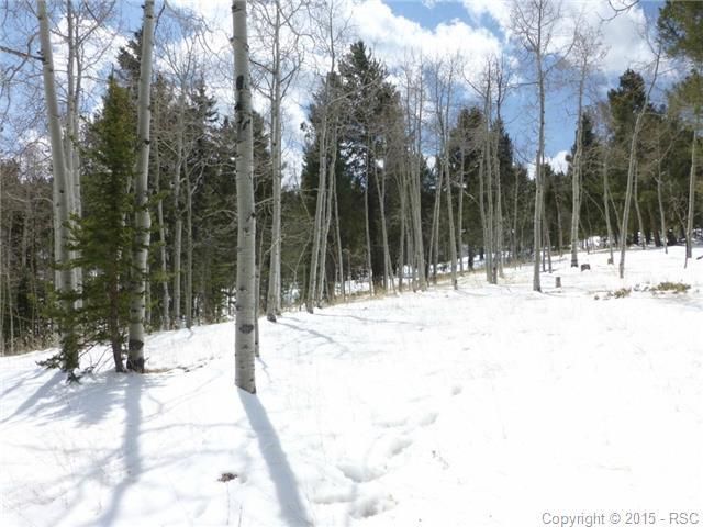 776 Sir Richard Dr, Divide, CO 80814