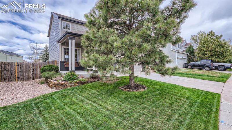 7770 Curlew Ct, Colorado Springs, CO 80920