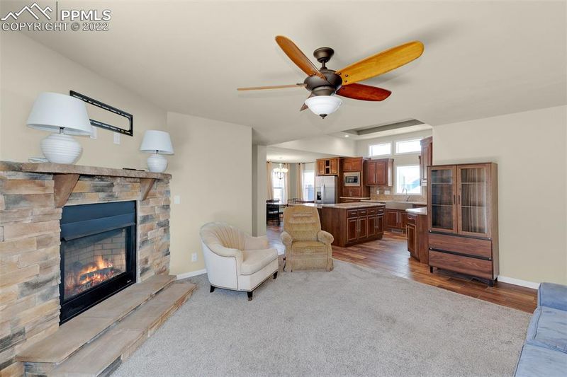 7791 Whiptail Point, Colorado Springs, CO 80922