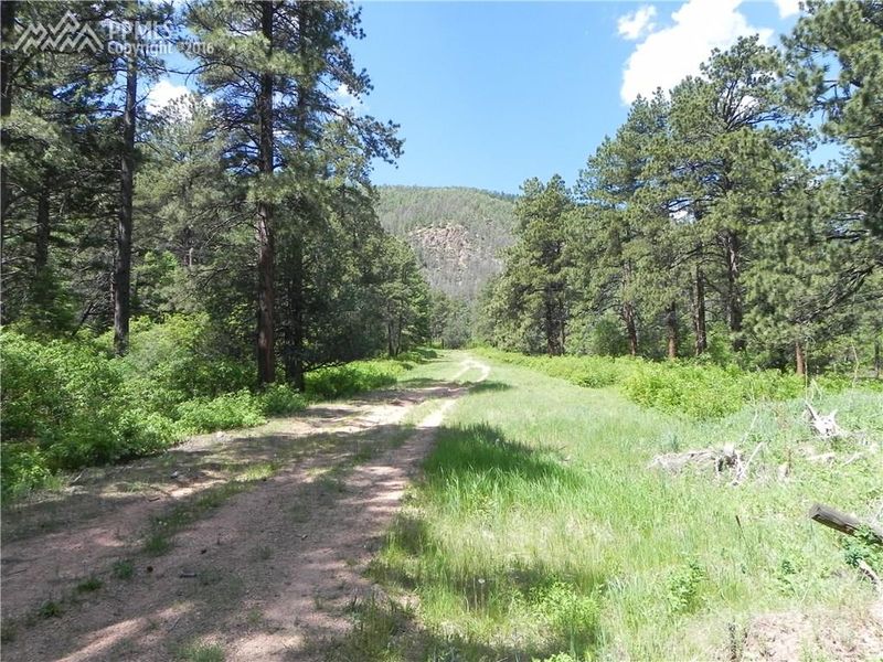 7871 Seminole Ct, Larkspur, CO 80118