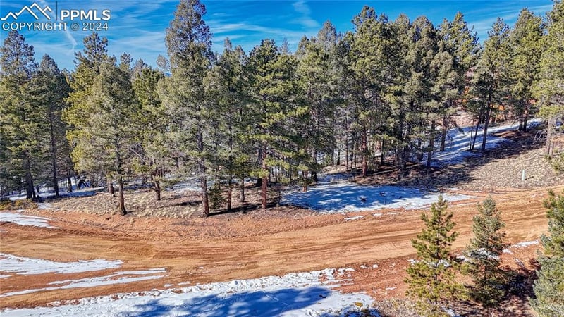 79 Huntsman Cir, Florissant, CO 80816
