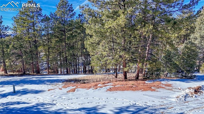 79 Huntsman Cir, Florissant, CO 80816