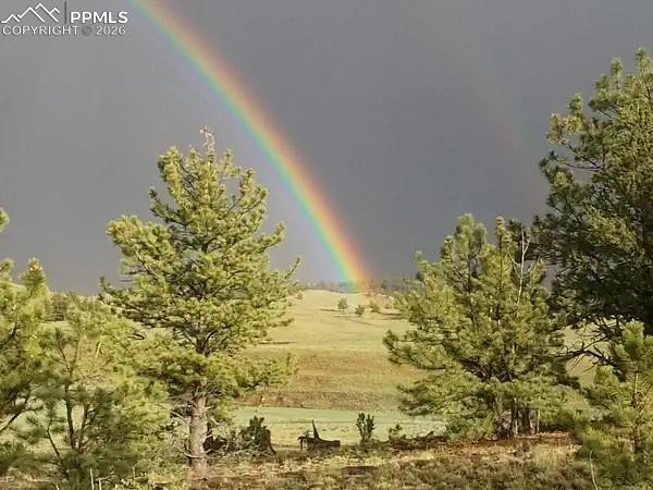 79 Quail Ct, Hartsel, CO 80449