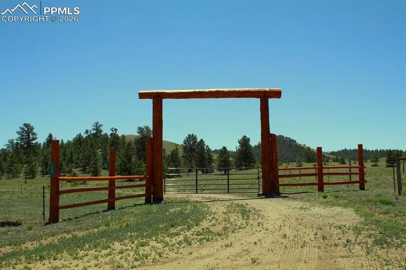 79 Quail Ct, Hartsel, CO 80449
