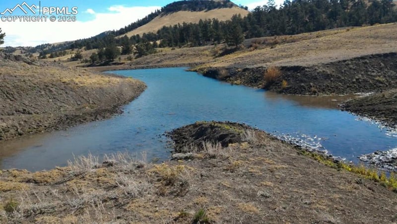 79 Quail Ct, Hartsel, CO 80449