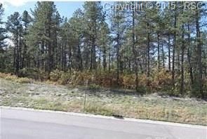 7901 Monarch Rd, Larkspur, CO 80118