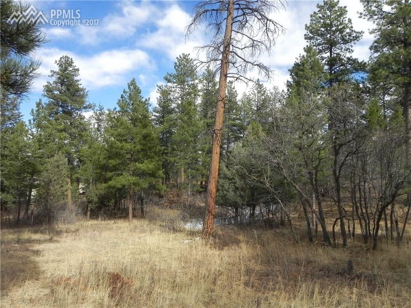 7961 Inca Rd, Larkspur, CO 80118