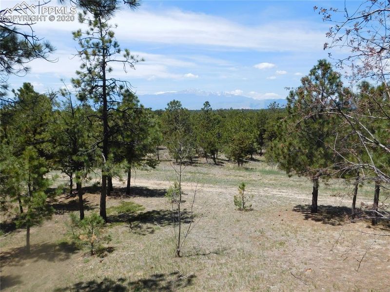 7985 Burgess Rd, Colorado Springs, CO 80908