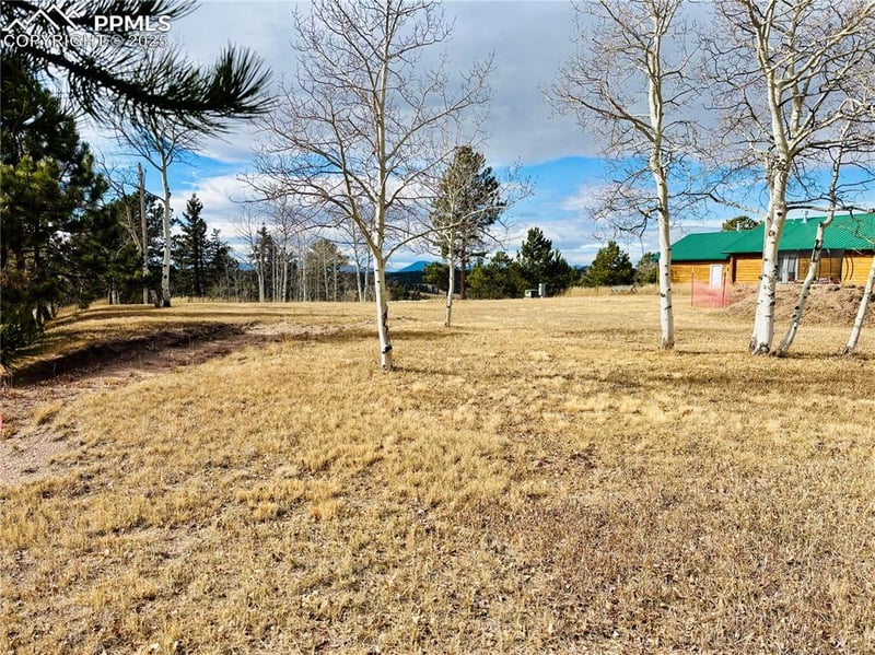 799 Elfin Glen Dr, Divide, CO 80814
