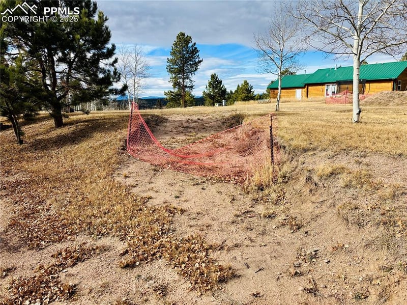 799 Elfin Glen Dr, Divide, CO 80814