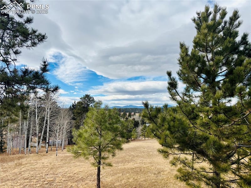799 Elfin Glen Dr, Divide, CO 80814