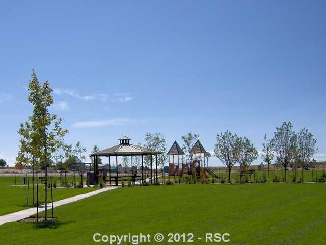 8029 Mount Hope Dr, Colorado Springs, CO 80924