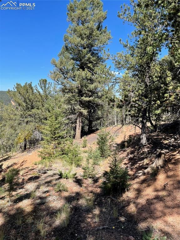 803 Calcite Dr, Divide, CO 80814