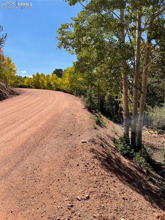 803 Calcite Dr, Divide, CO 80814