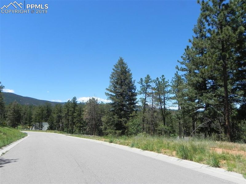 8058 Inca Rd, Larkspur, CO 80018