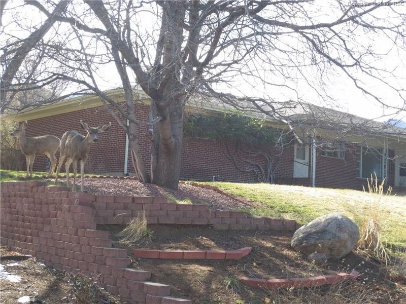 806 Libra Dr, Colorado Springs, CO 80906