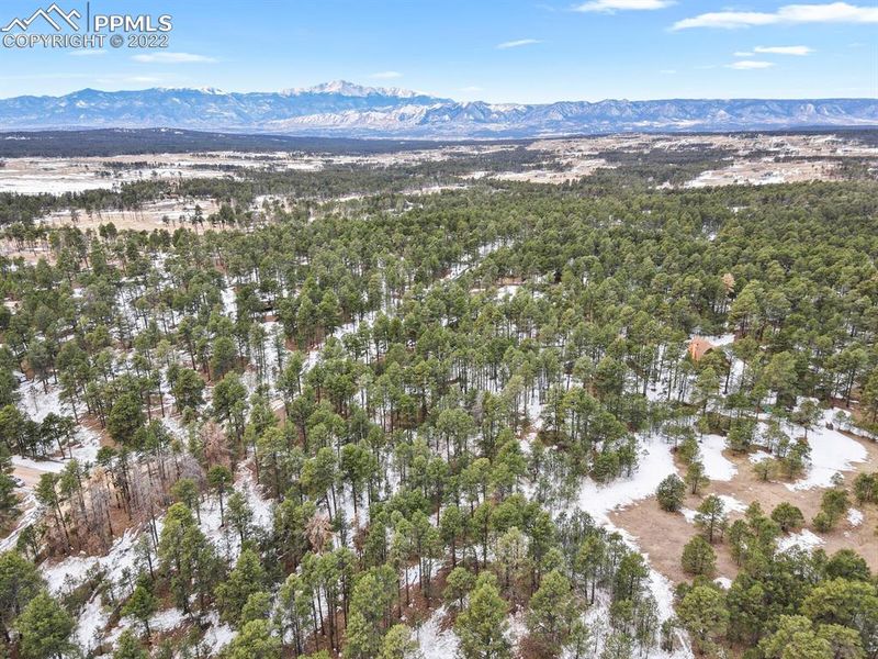 8075 Woodcrest Dr, Colorado Springs, CO 80908